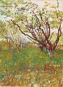 Vincent Van Gogh Cherry Tree France oil painting artist